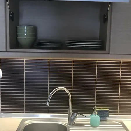 Lion Center Apartment *